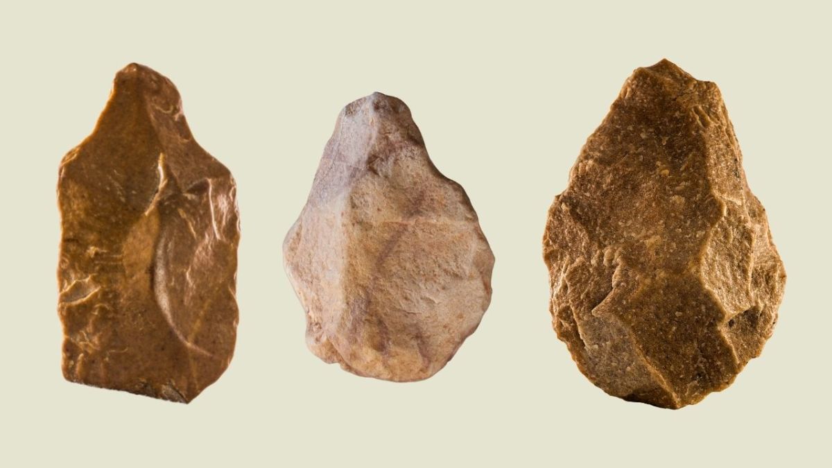 The hand axe was one of the basic tools