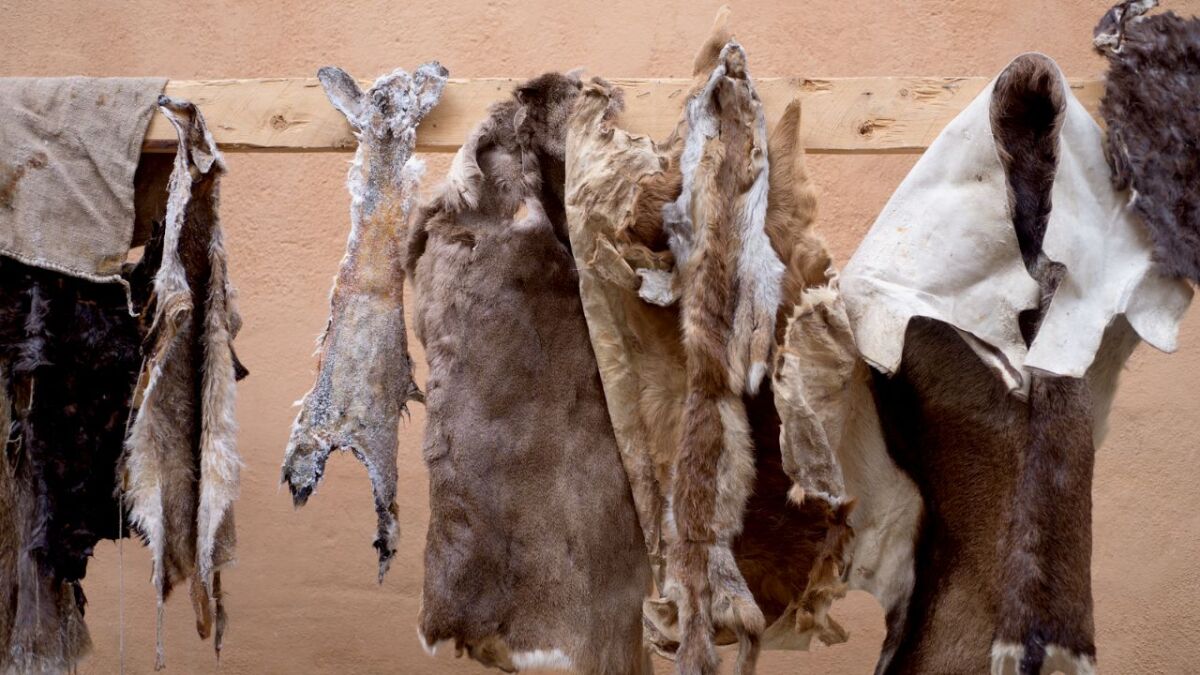 Impossible: Establishing a connection with leather and furs that come from far away and you don't know what happened to the animals