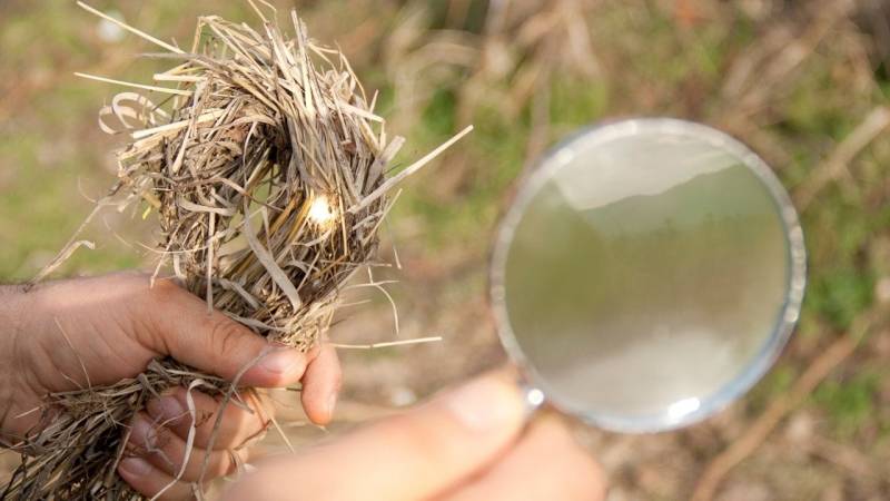 Using a magnifying glass to light tinder