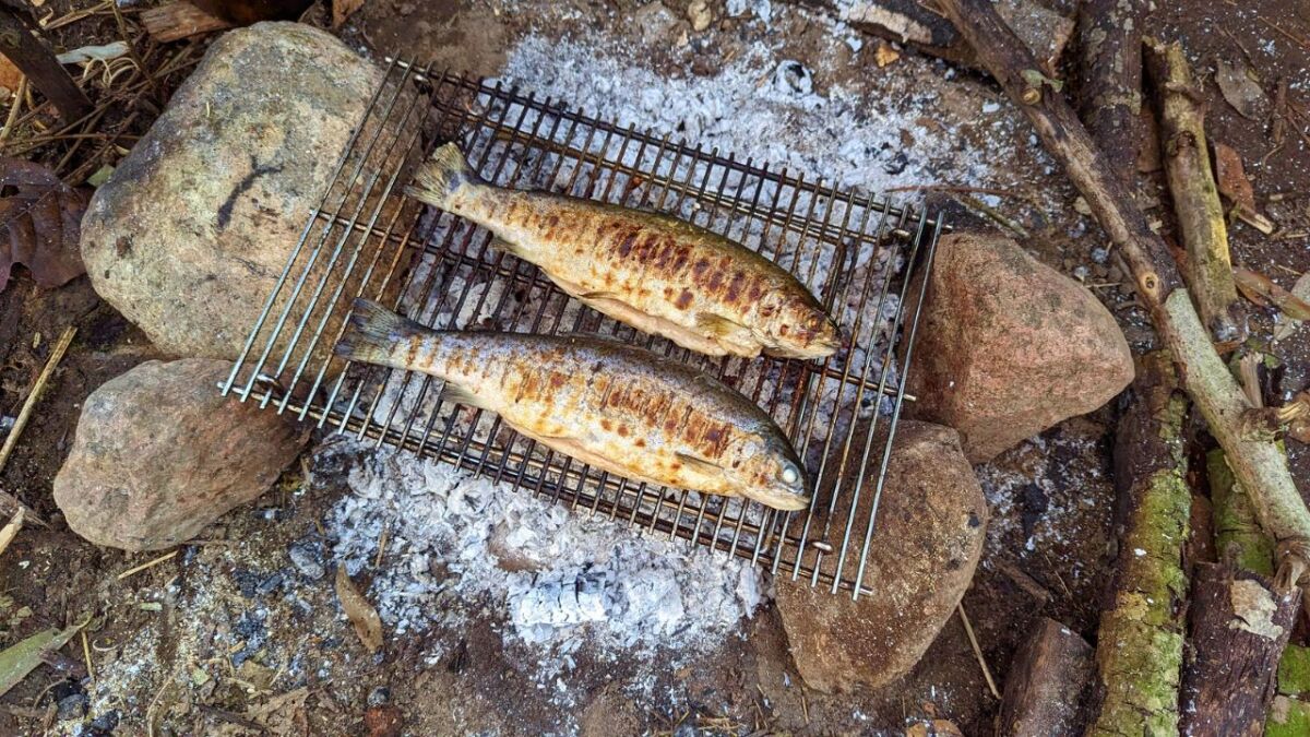 fisch auf einem lagerfeuer grill