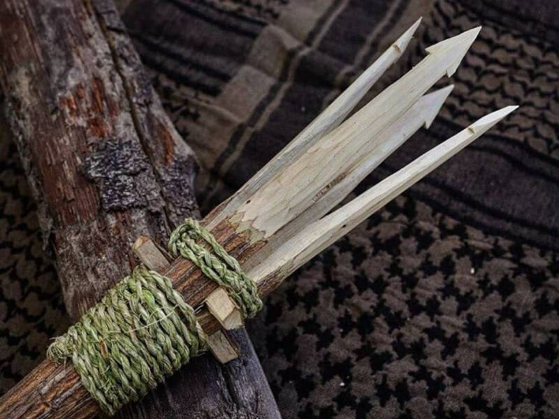 You can build a spear for yourself from wood or with a rope