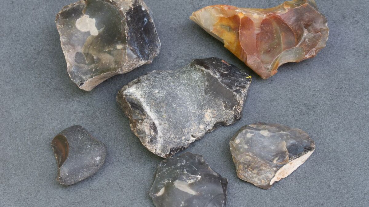 Various unprocessed flint stones