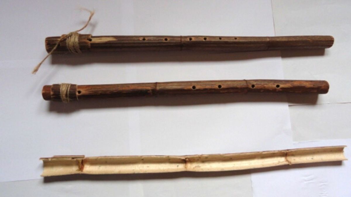 How you build a flute from a knotweed (step by step with pictures)