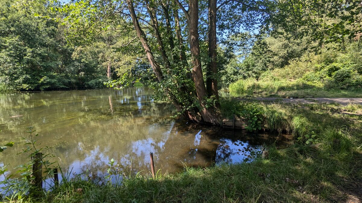 Here around the corner, there are many small rivers