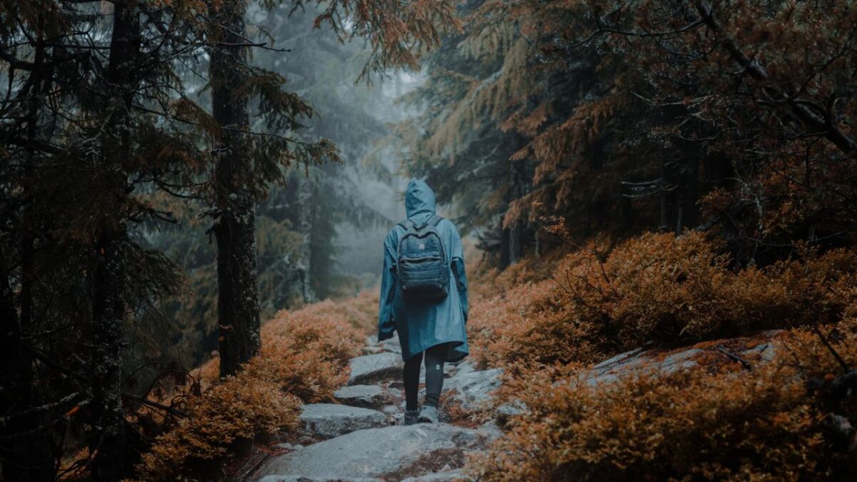 Woman in the forest in a rain poncho