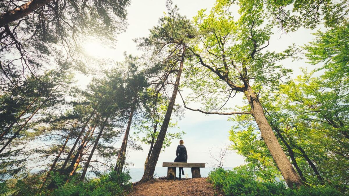 frau sitzt auf bank im wald