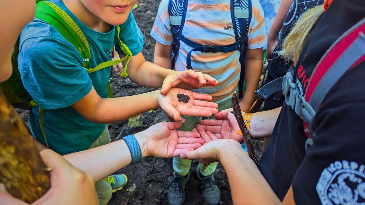 frosch auf hand kindergruppe