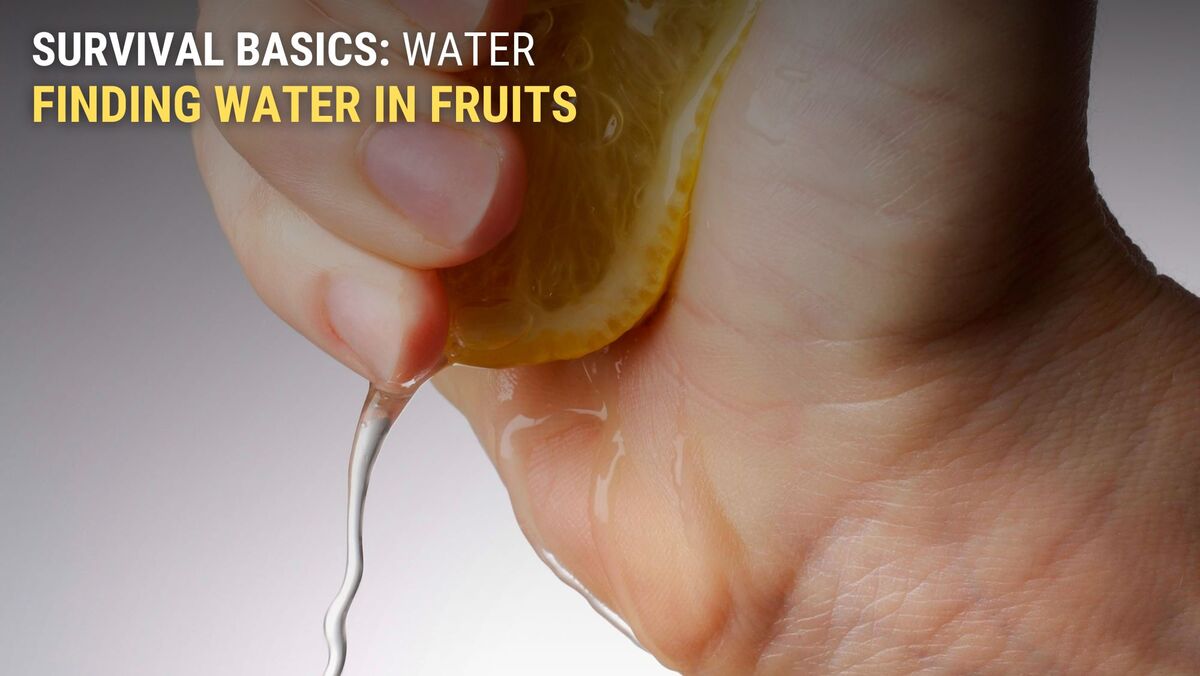 Squeeze fruits and extract water