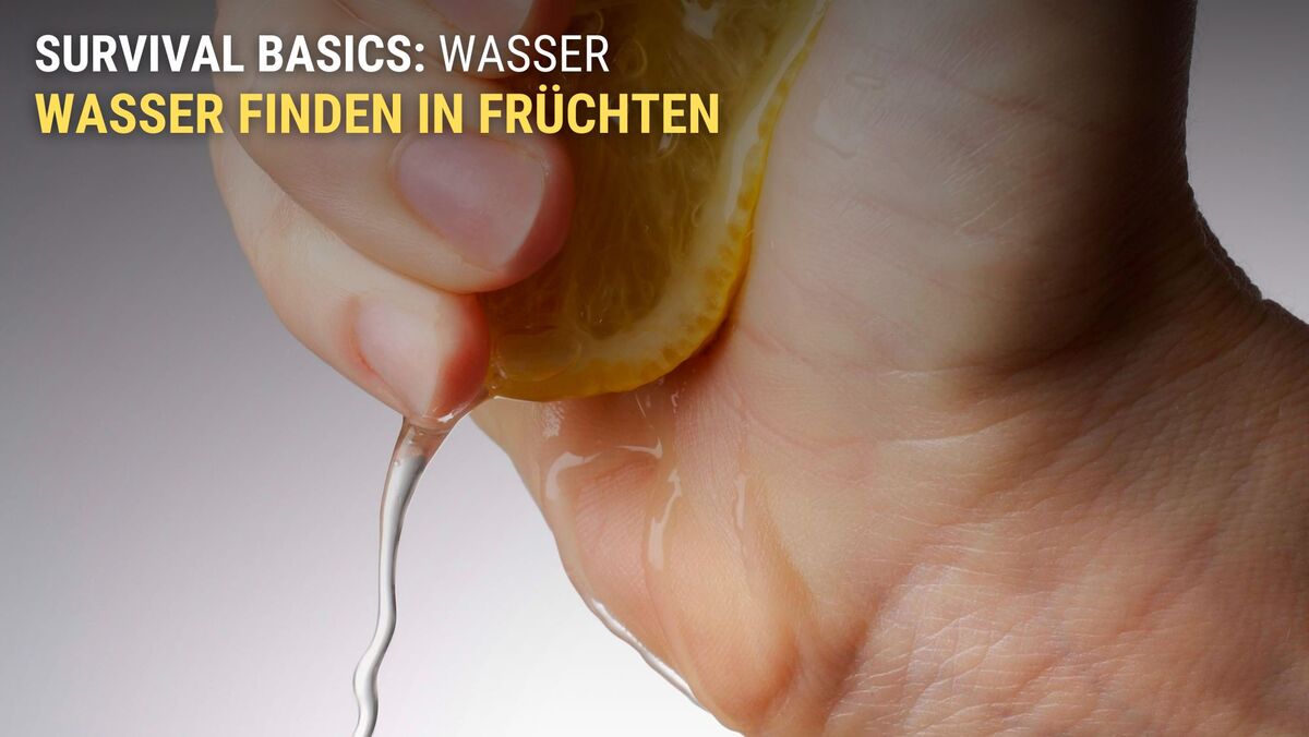 Früchte ausdrücken und Wasser gewinnen