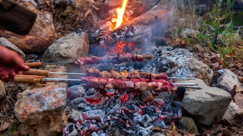 Fleisch von Wildtieren solltest du immer gut durcherhitzen