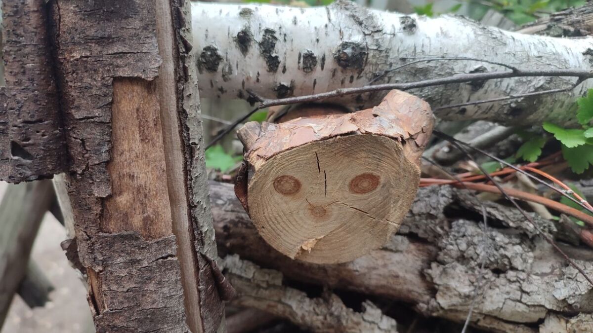 Funny: This branch looks like a face - but it's probably not useful for carving