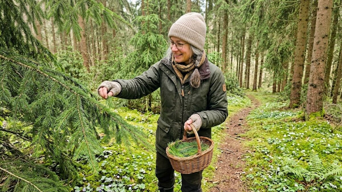 Giftige Hölzer beim Schnitzen, am Lagerfeuer, der Küche gluecklich wald fichten sammlerin