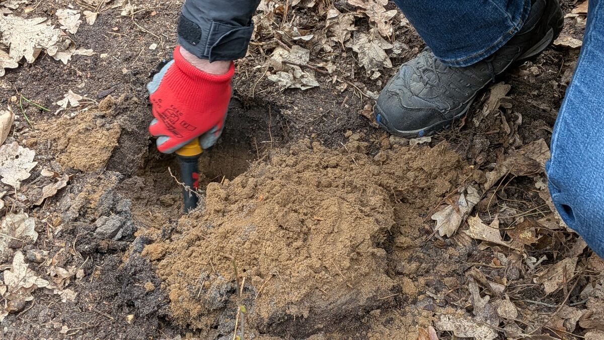 graben sondieren erde rot handschuh