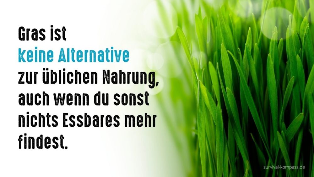 gras ist keine alternative zur ueblichen nahrung