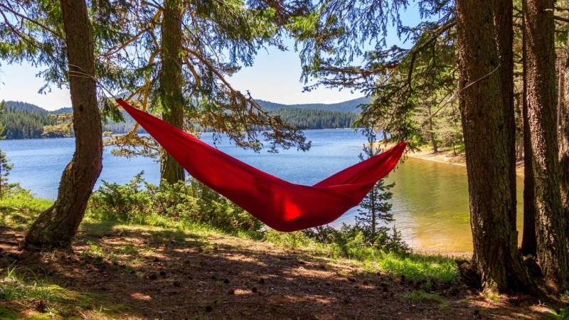 haengematte aufgebaut am see