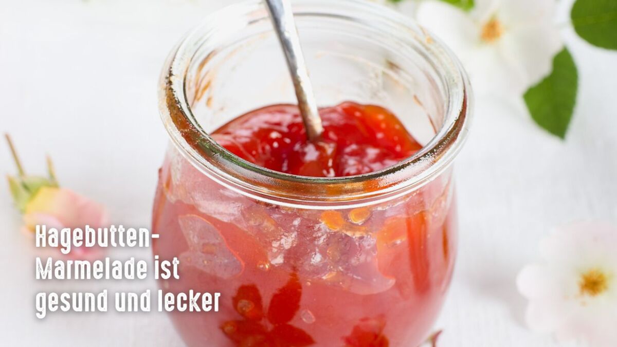 hagebutten marmelade