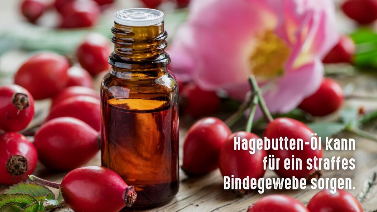 hagebutten oel bindegewebe