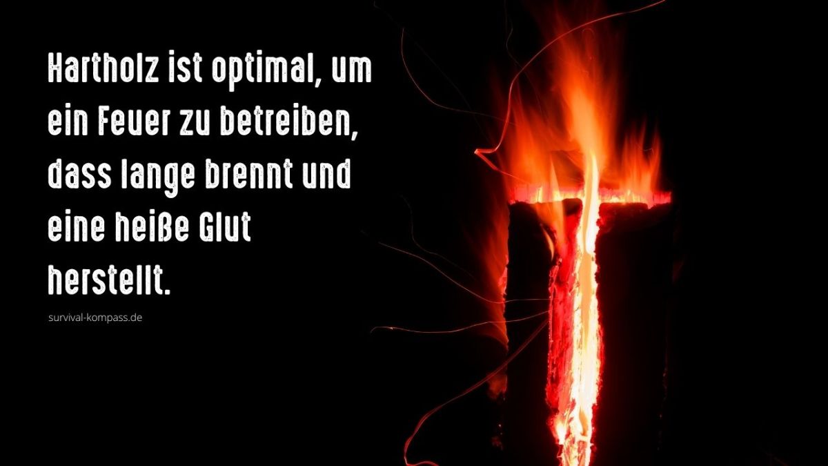 Hartholz ist optimal, um ein Feuer zu betreiben, dass lange brennt und eine heiße Glut herstellt.