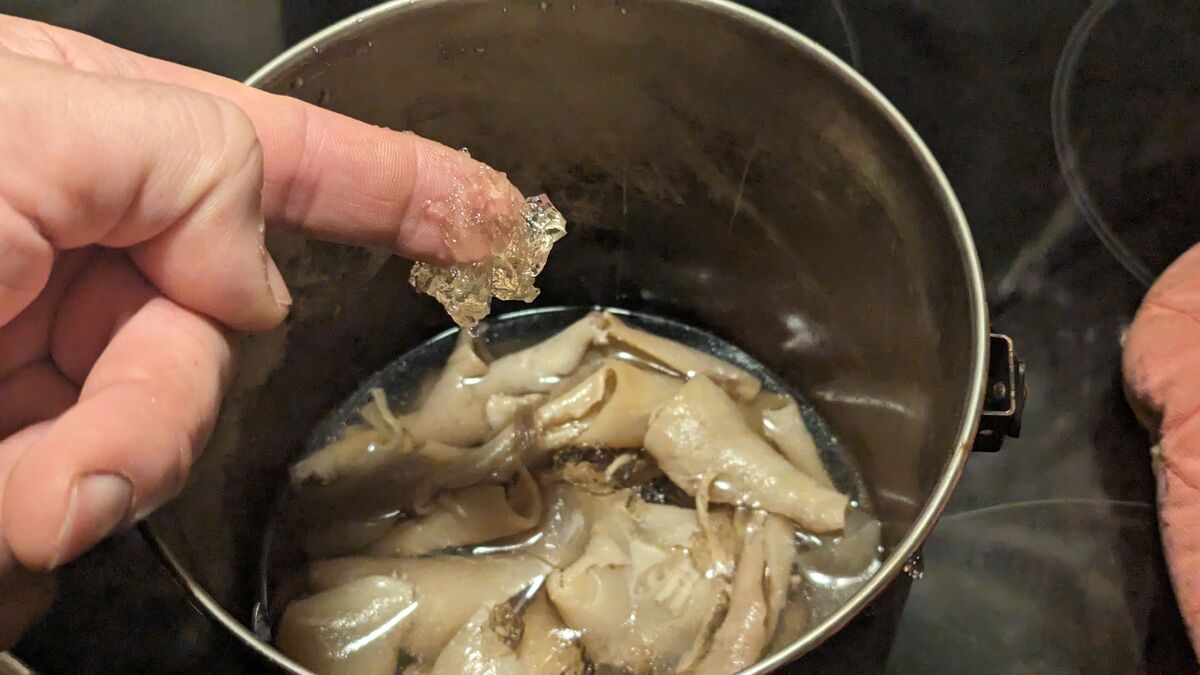 Wildverwertung: Was du aus einem Reh alles machst hautkleber