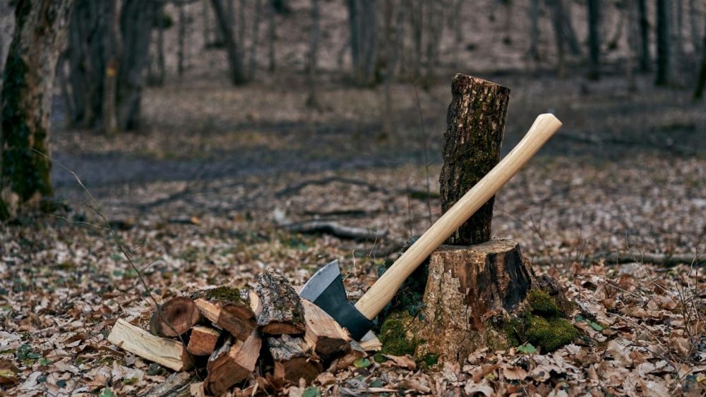 If you're an outdoor enthusiast or simply like to stay active, knowing how to use axe skills is one of the most important abilities you should master in the wilderness.