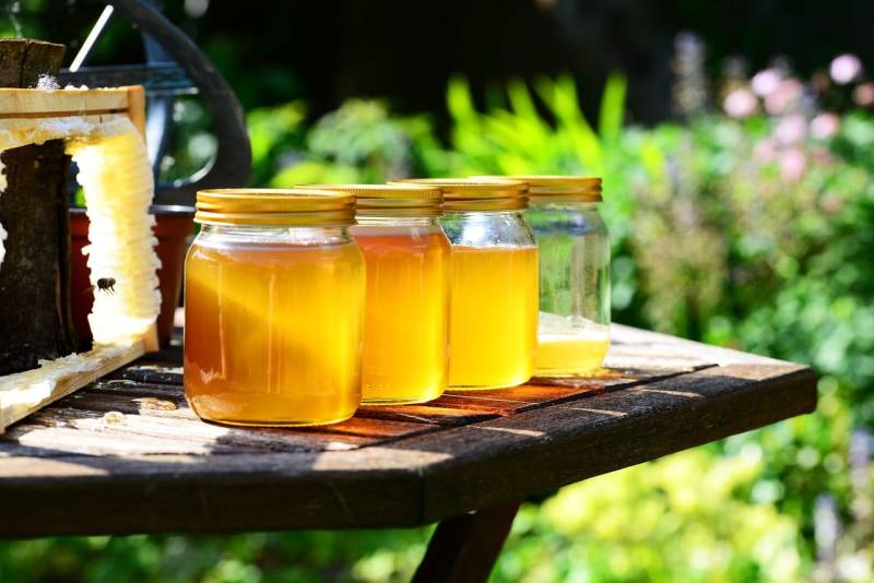 Honey: long-lasting, sugar supplier, remedy, wound care