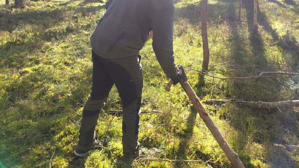 Entasten, kleine Bäume fällen, Holz hacken – das schafft das Hultafors Trekkingbeil HULTAN locker