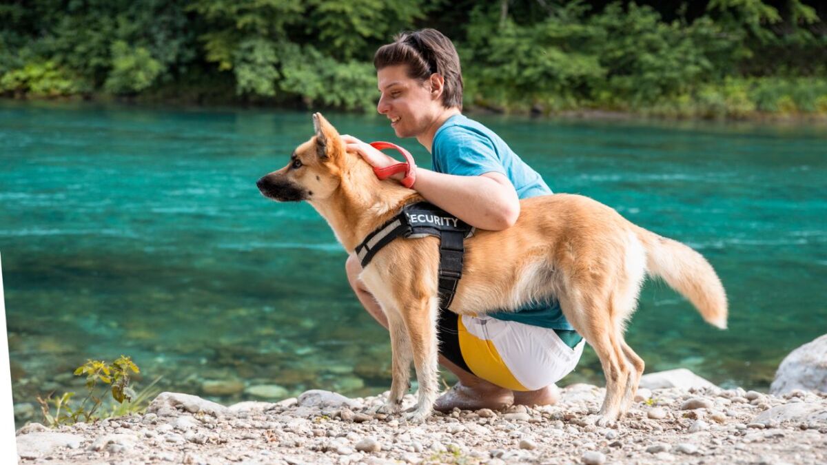 hund am wasser mit mensch