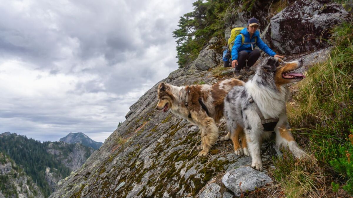 Du musst bevorstehende Situationen gut beurteilen können und besonders an schweren Passagen dich und deinen Hund richtig einschätzen.