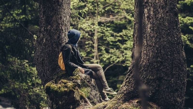 im wald sitzen sitzplatz 2