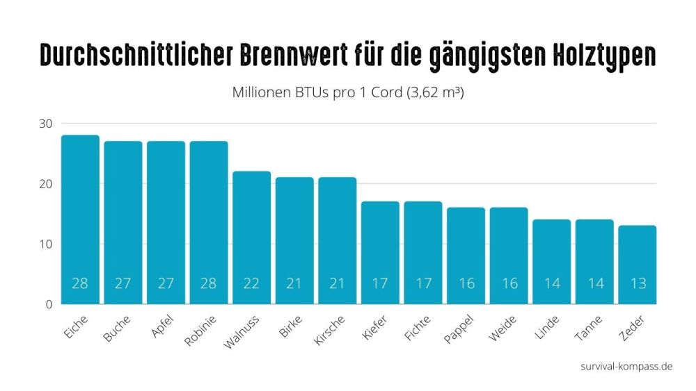 Infografik zum durchschnittlichen Brennwert für die gängigsten Holztypen