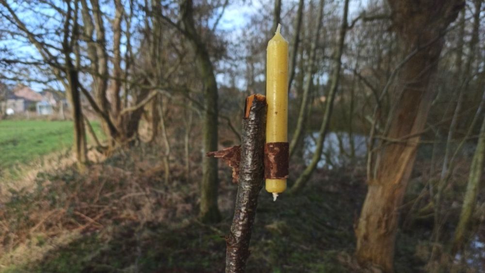 You can easily improvise a candle holder with a piece of birch bark