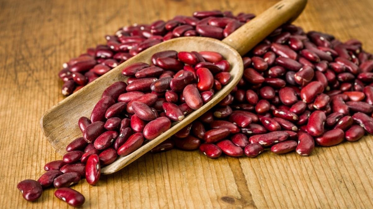 Kidney beans are particularly rich in protein compared to other legumes and are a good choice for people looking to increase their protein intake.