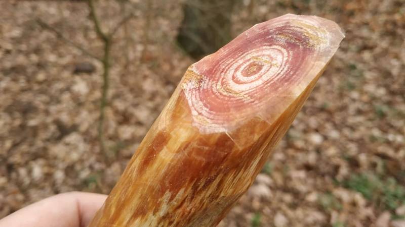 Harz im Holz - daraus wird ein Kienspan hergestellt