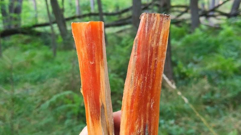 Das Holz zerlegst du in handlichen Stücke. Ein Stück reicht für viel Zunder.