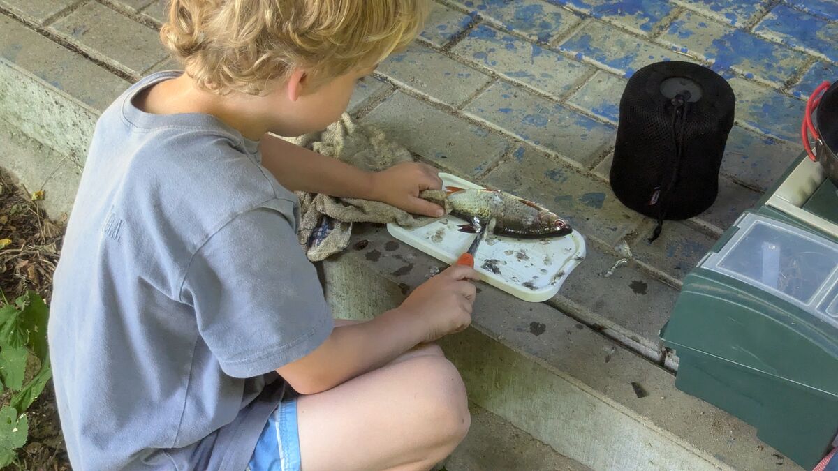 My youngest son scales a fish