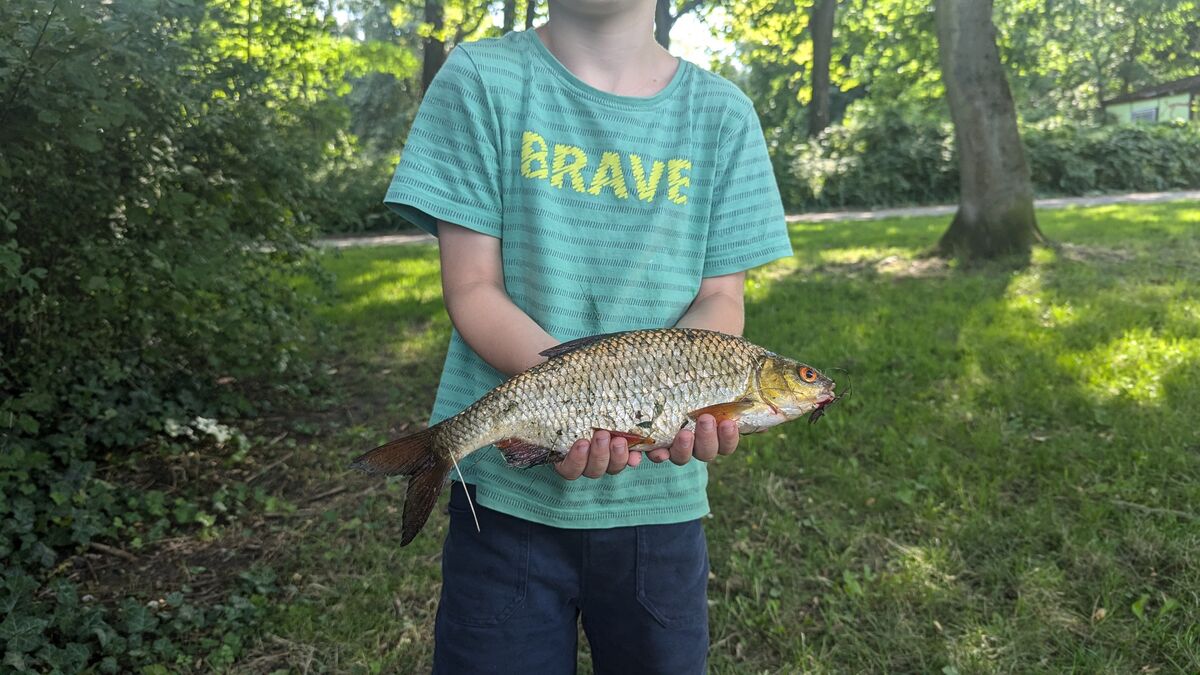 Catch n' Cook für Einsteiger: So machst du deine Kinder zu kleinen Angler-Helden