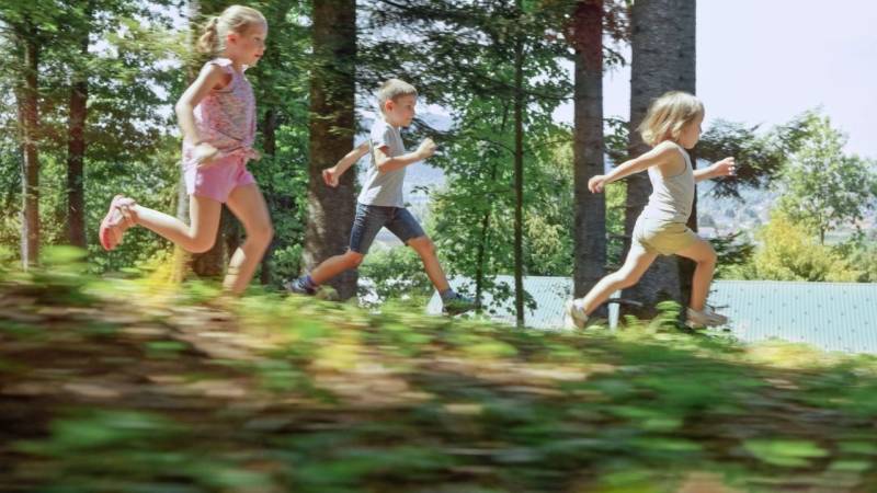 kinder wald spiele und beruhigungsrituale