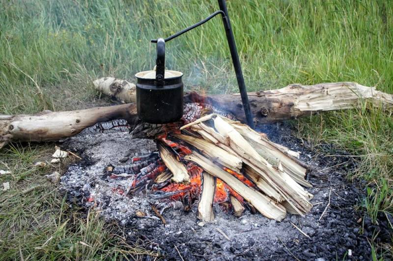 Koche Insekten vor dem Essen ab