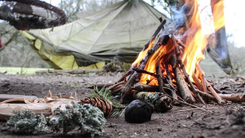 If there is not enough wood to be found on the ground, your knife will help you