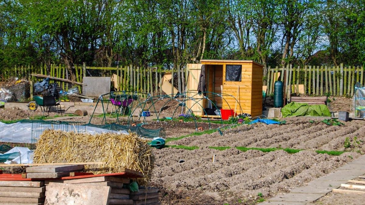 A self-sufficient garden is a garden where one grows their own vegetables, fruits, and herbs to provide themselves with fresh, healthy food.