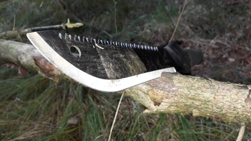 Close-up of the blade of the Gerber Gator JR