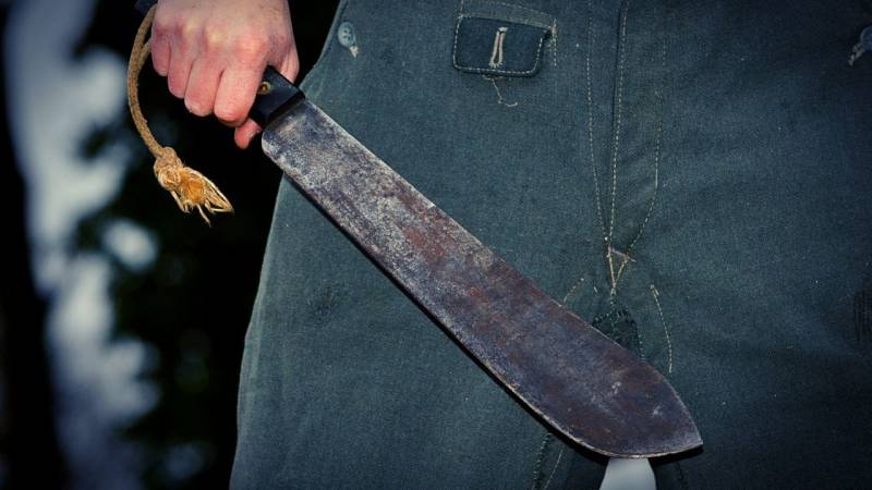 A machete is advantageous in the tropical jungle because it is a versatile tool that can be helpful in many tasks.