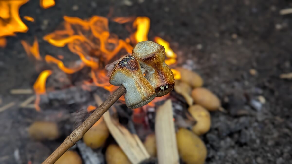 marshmallow am lagefeuer