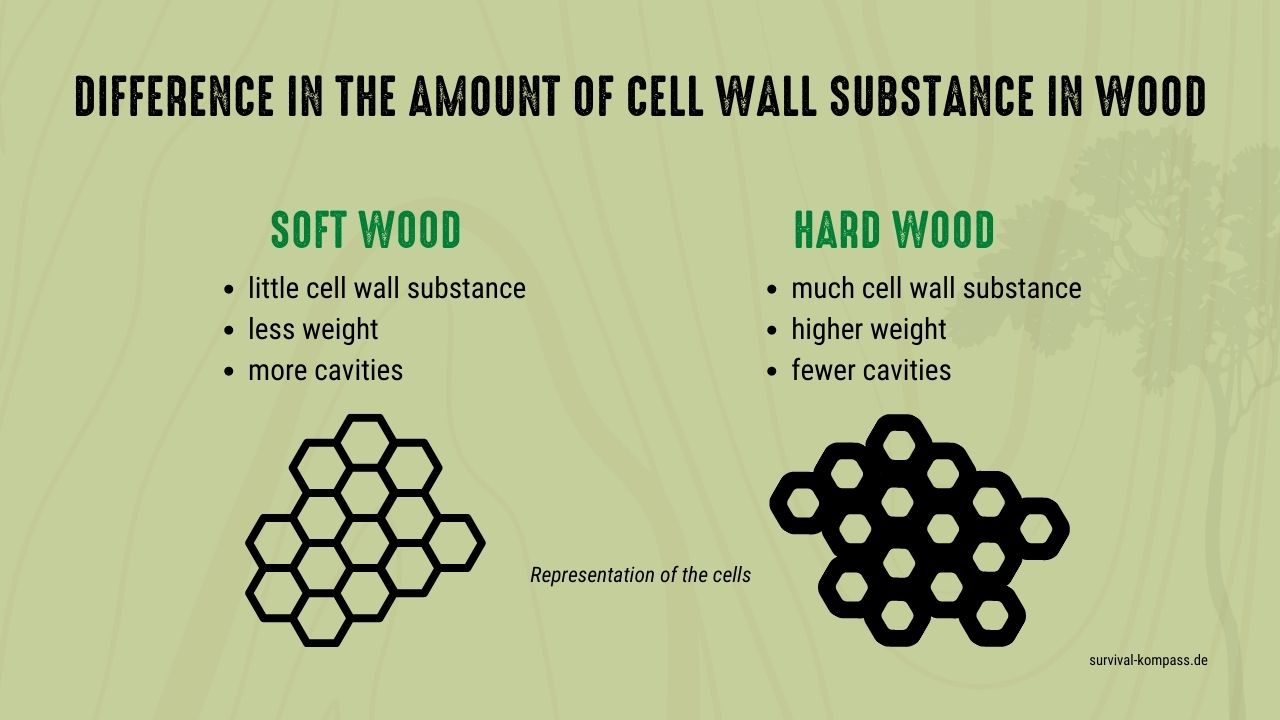 Difference in the amount of cell wall structure in wood