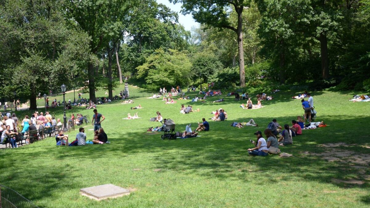 In einem Park kannst du dauerhaft Menschen beobachten und so deine Beobachtungsgabe verbessern