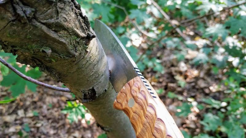 Felling a tree with a knife is one of the skills you should master