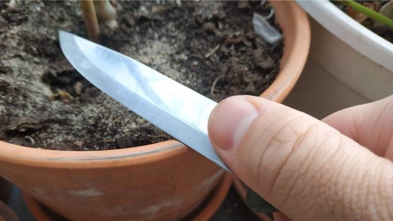 An einem Terrakotta-Blumentopf lässt sich ein Messer einwandfrei schärfen