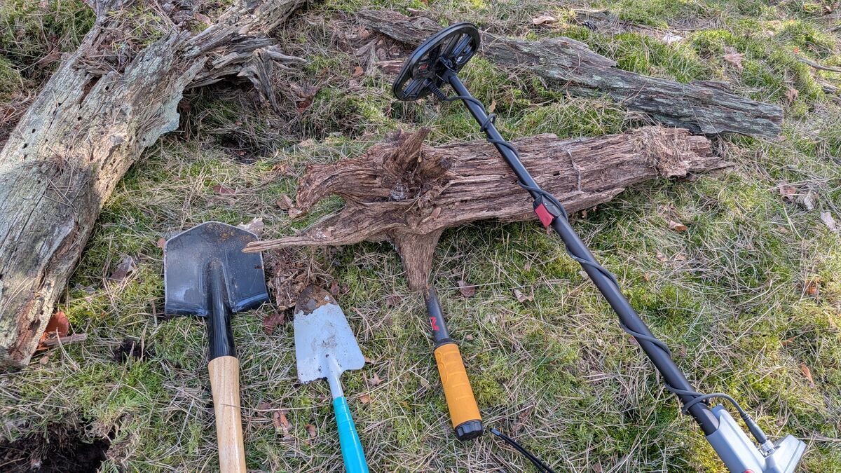 metalldetektor spaten moos holz