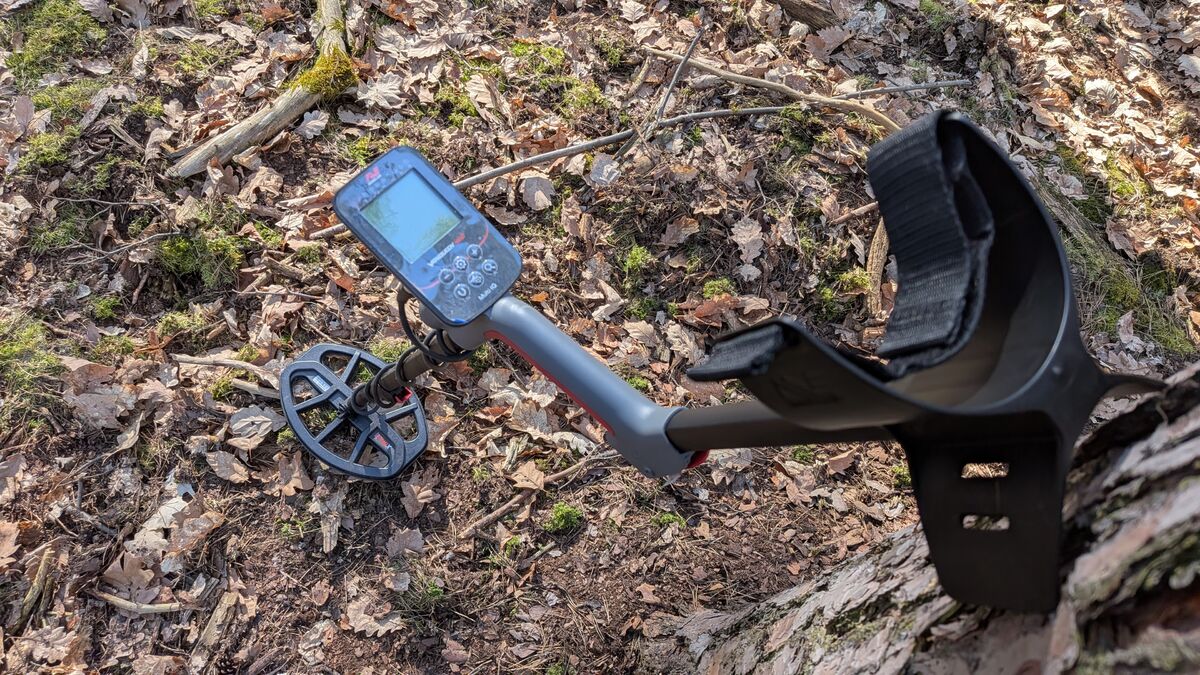 metalldetektor waldboden sonnig laub