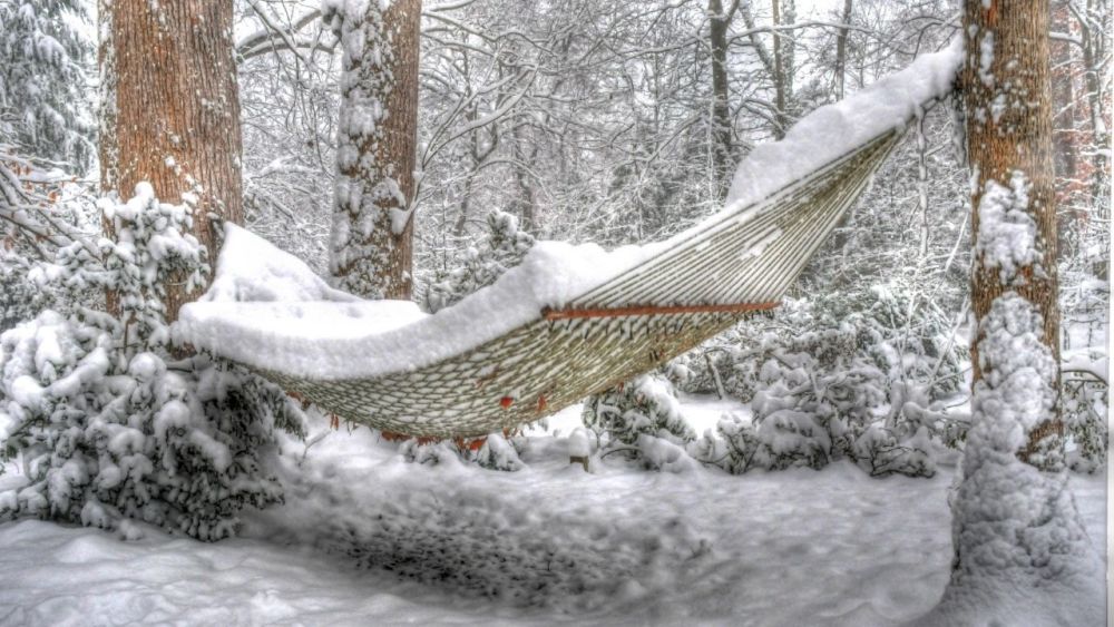 The best tips: Sleeping in a hammock during winter